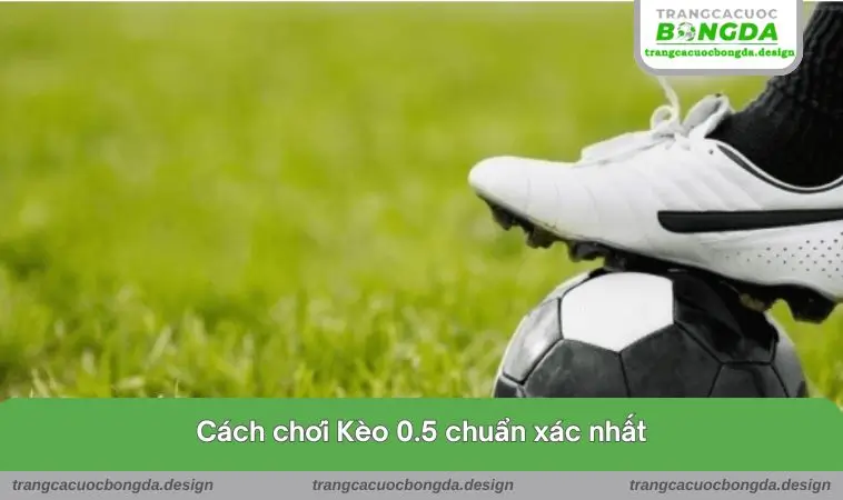 Cách chơi chuẩn xác nhất