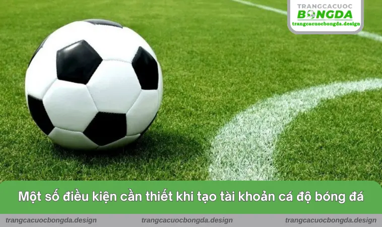 cach tao tai khoan ca do bong da 3 Một số điều kiện cần thiết khi tạo tài khoản cá độ bóng đá