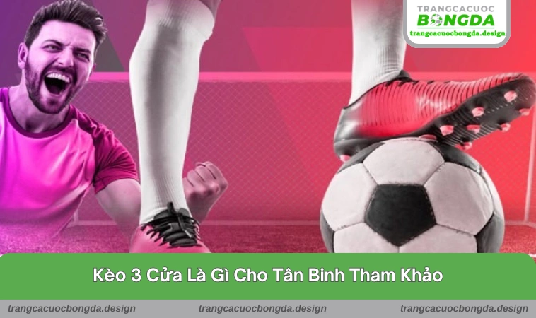 keo 3 cua la gi 1 Thông tin cơ bản cần biết về kèo 3 cửa cho tân binh