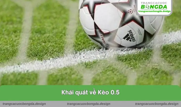 Khái quát về loại hình này