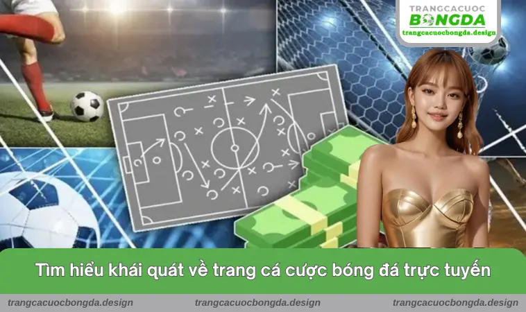 Tìm hiểu khái quát về trang cá cược bóng đá trực tuyến