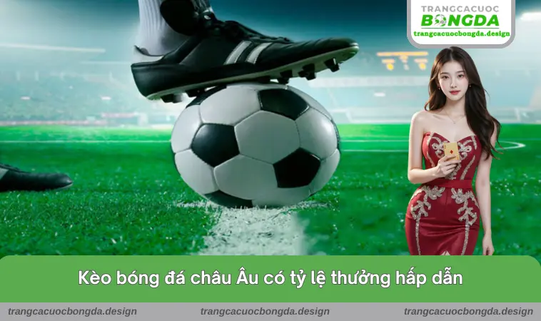 Kèo bóng đá châu Âu có tỷ lệ thưởng hấp dẫn