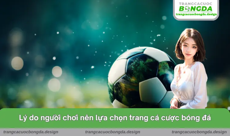 Lý do người chơi nên lựa chọn trang cá cược bóng đá