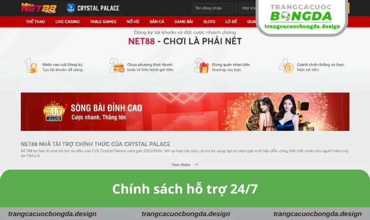 Chính sách hỗ trợ 24/7